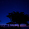 夜明けを待つ
