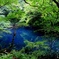 沸壺の池