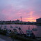 万代橋と夕日