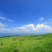 高原を行く