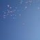 Happy Wedding Ballon2