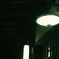 鶴