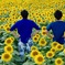 『オレ達と花達』