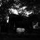 monochrome