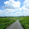 荒川河川敷