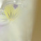 CRW_2404_RJ