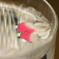 CRW_2417_RJ