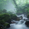 雨霧煙る朝