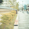 旧江戸川