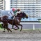 The horse racing