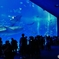 美ら海水族館