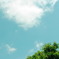 庭から見た空
