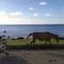 home point