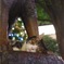 ハチ公に寄り添う猫ちゃん