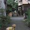 路地裏メロン