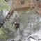 涓滴岩を穿つ