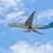 関空　Ｉｎｄｏｎｅｓｉａ航空 Ａ３３０