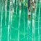 ８月の青い池　５