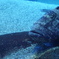 DSC03441
