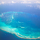 海