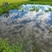 爽やかな空