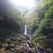 養老の滝