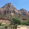 強い自然　~Zion National Park~