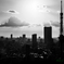 東京晩夏..＃5