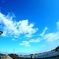 ある日の夏空