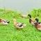 待って〜