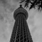 DSC_0826