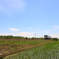 田園風景