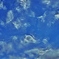 暑い夏の終わり