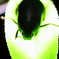 green in the sparkle