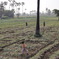 DSC00381