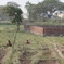 DSC00390