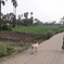 DSC00386