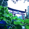 北口本宮冨士浅間神社