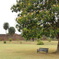 DSC00500