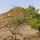 DSC00654