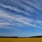 Sky & Gold