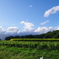 長閑な青空