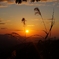 夕霧峠の夕暮れ