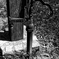 _1060976_DxO
