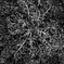 _1070200_DxO