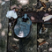 _1070329_DxO