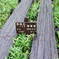 県境 (尾瀬)