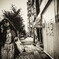 street 23