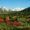 立山　弥陀ヶ原