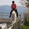 春風の乗馬